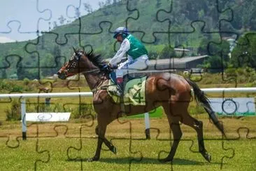 Imagem jigsaw puzzle