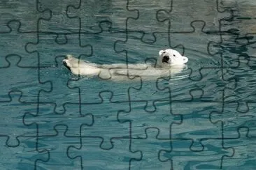 Imagem jigsaw puzzle