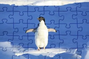 Imagem jigsaw puzzle