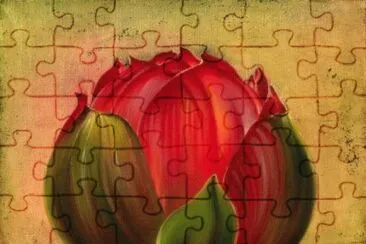 Imagem jigsaw puzzle