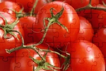 Imagem jigsaw puzzle