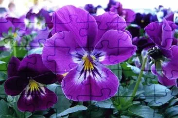 OK jigsaw puzzle