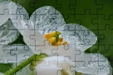 OK jigsaw puzzle