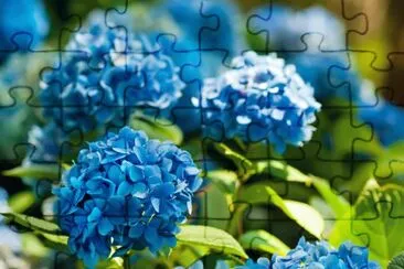 OK jigsaw puzzle