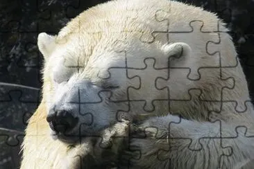 פאזל של Imagem