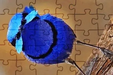 natural jigsaw puzzle