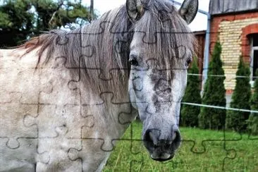 Imagem jigsaw puzzle