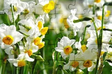 flores jigsaw puzzle
