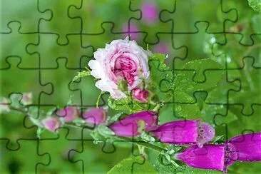 flores jigsaw puzzle