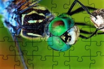natural jigsaw puzzle