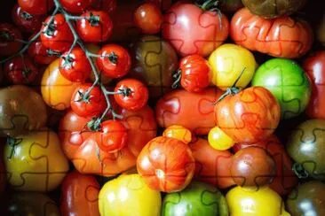 Imagem jigsaw puzzle
