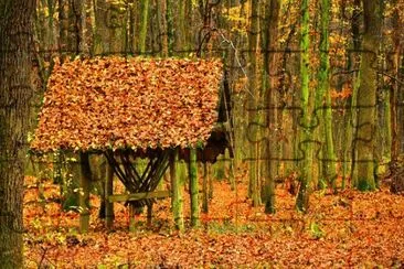 Imagem jigsaw puzzle
