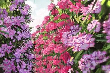 פאזל של spring #207
