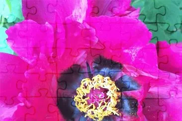 flores jigsaw puzzle