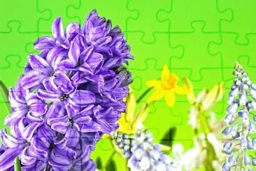 Imagem jigsaw puzzle