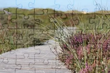 Imagem jigsaw puzzle