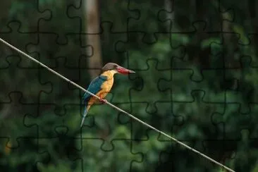 Imagem