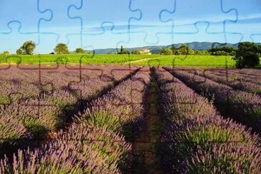 Imagem jigsaw puzzle