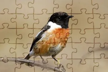 פאזל של Santimpalo siberiano