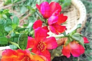 flores jigsaw puzzle