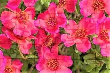flores jigsaw puzzle