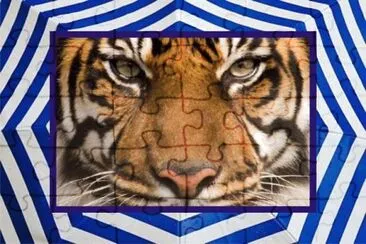 JSPuzzles-åœ–ç‰‡å»Š (çµ„åˆ) jigsaw puzzle