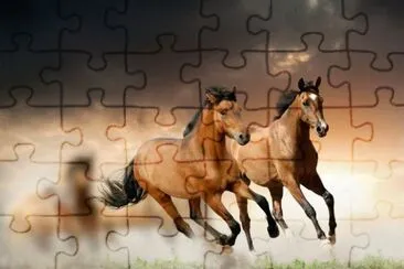 ×¡×•×¡×™× jigsaw puzzle