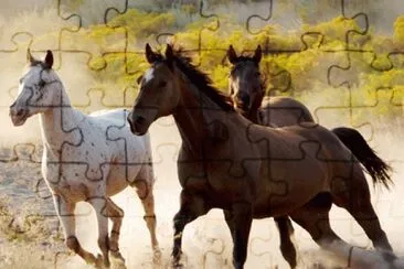 ×¡×•×¡×™× jigsaw puzzle