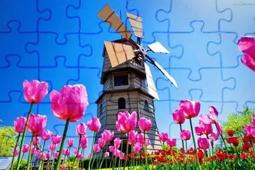 tulipanes jigsaw puzzle