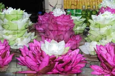 orquideas jigsaw puzzle