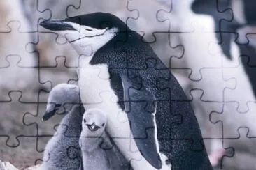 Pinguino barbijo jigsaw puzzle