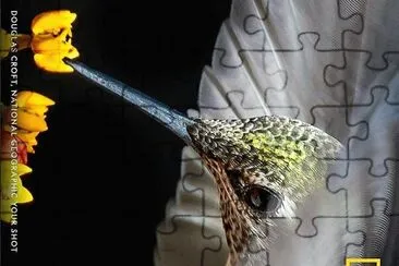 natural jigsaw puzzle