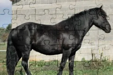 Nickel devives jigsaw puzzle