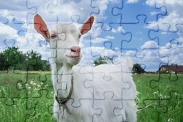 Imagem jigsaw puzzle