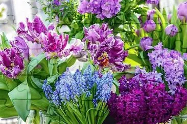 flores