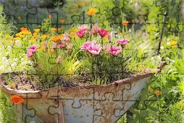 flores