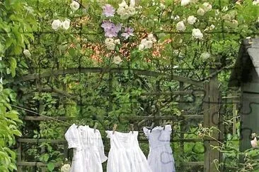 natural jigsaw puzzle