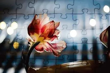 flores jigsaw puzzle