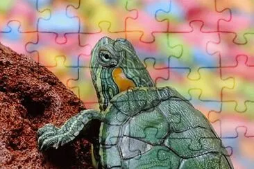 Imagem jigsaw puzzle
