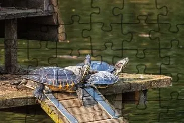 Imagem jigsaw puzzle