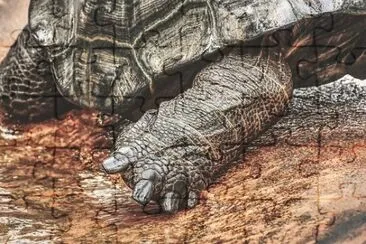 Imagem jigsaw puzzle