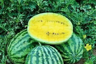 frutas jigsaw puzzle