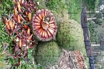 natural jigsaw puzzle