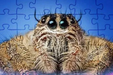 Imagem jigsaw puzzle