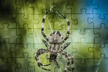 Imagem jigsaw puzzle