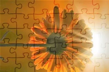 flores jigsaw puzzle