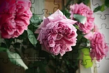 פאזל של flores
