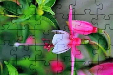 flores jigsaw puzzle