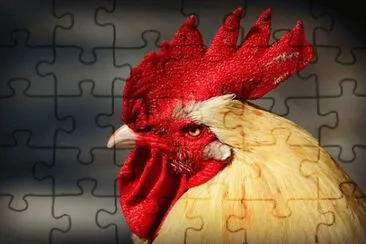 Imagem jigsaw puzzle