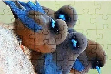natural jigsaw puzzle